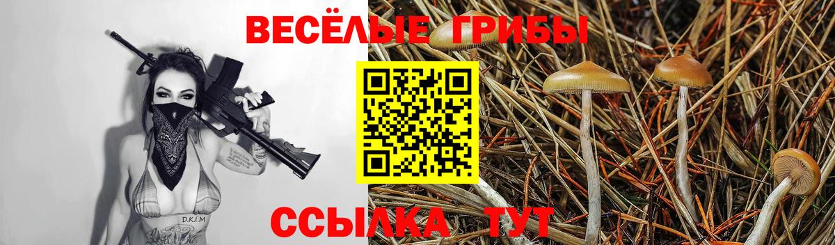 Галлюциногенные грибы Cubensis Дубна