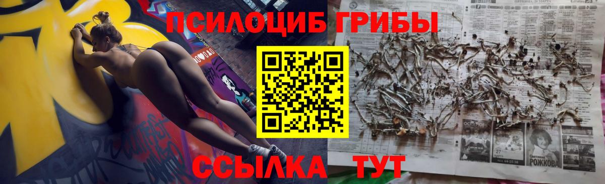 Псилоцибиновые грибы прущие грибы  Вход с VPN  купить   Дубна 