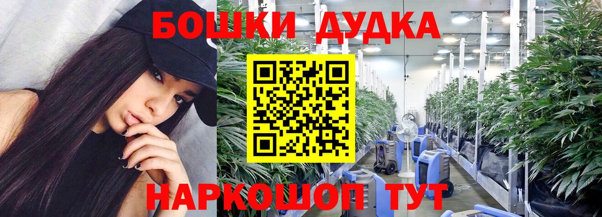 Дубна  Шишки марихуана планчик  Вход с VPN  Шишки марихуана OG Kush  Марихуана сатива  Бошки Шишки индика 